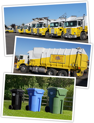 Trash Collection Recycle Collection Roll Off Containers Boxes Storage Bins North County